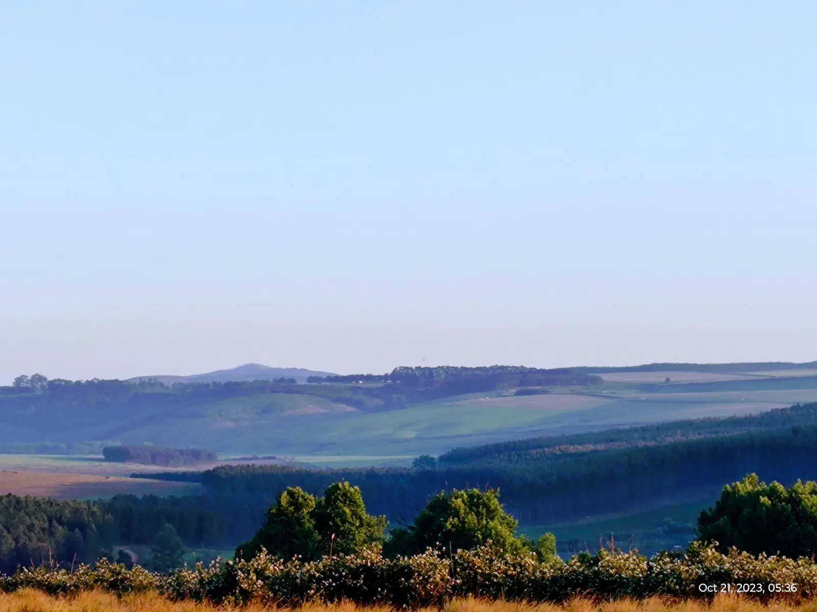 Grassland, fields and plantation slopes in the wider Hermannsburg landscape