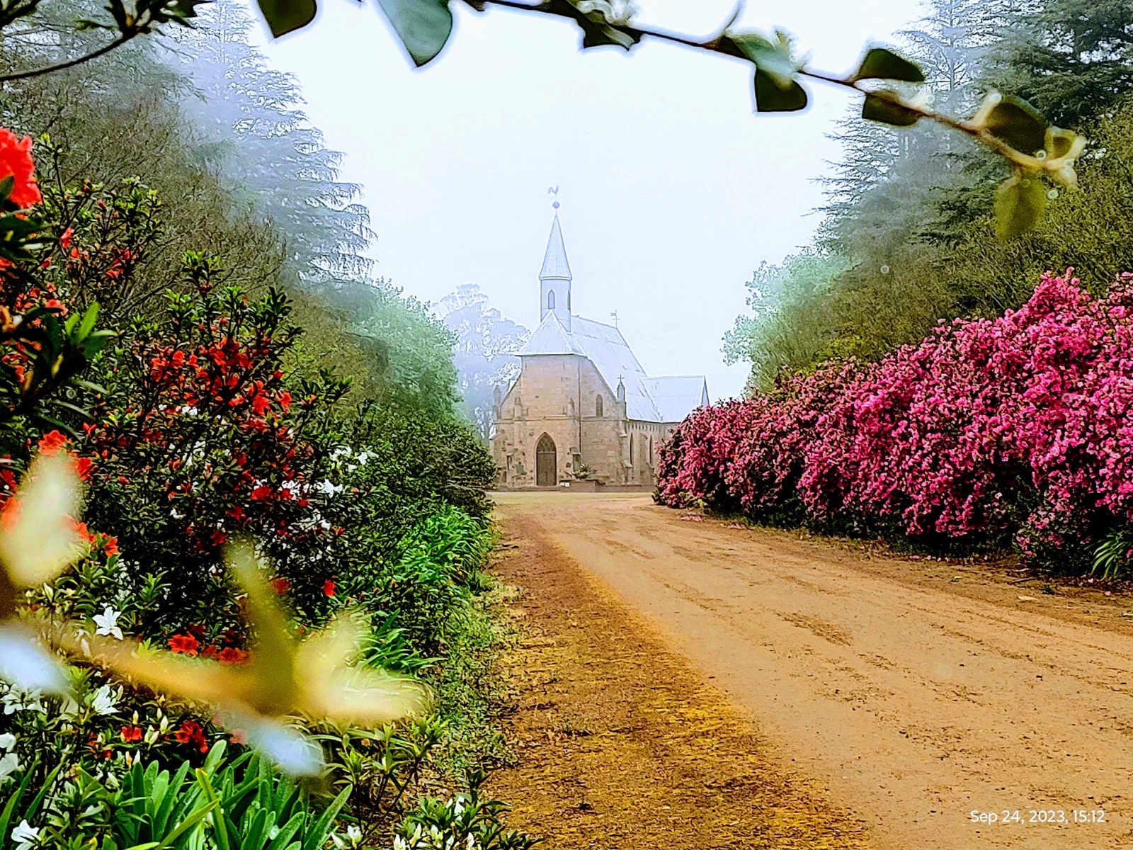 Peter Paul Church at the end of a path lined with flowering hedges